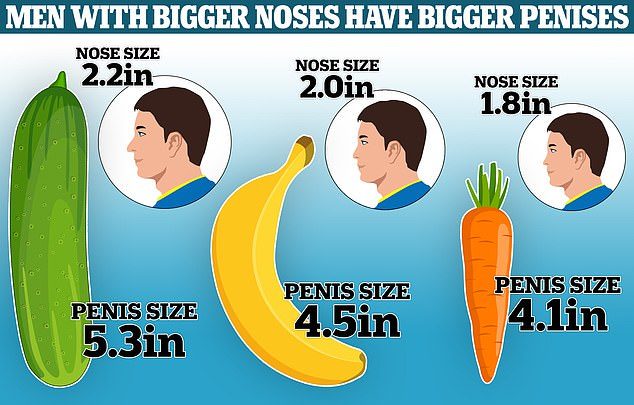 鼻子大ＧＧ就越大？日本研究「尺寸對照表」曝光！