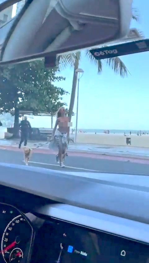 【上車】破壞世界和平？巴西女模《Caroline Werner》解放雙乳「上空遛狗」被捕！