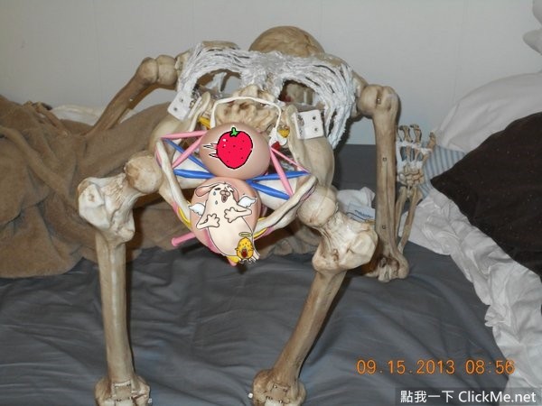 網友自製「擬真性愛娃娃」，人體煉成就從骨頭開始♥