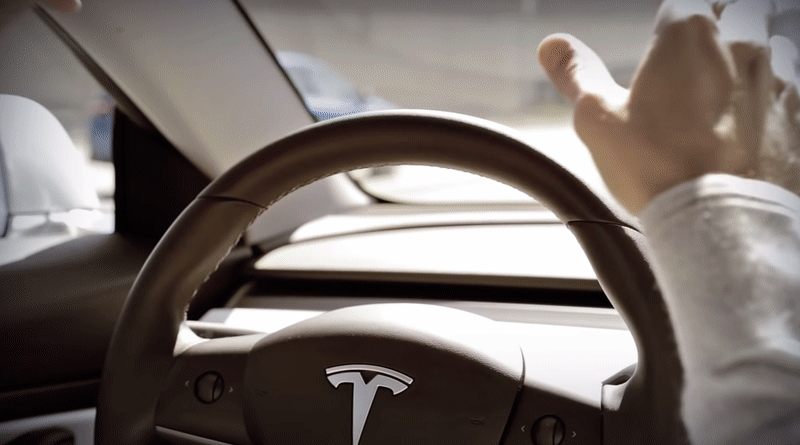 【黑科技】特斯拉專屬《自駕飛機杯》老司機舉起你的雙手！