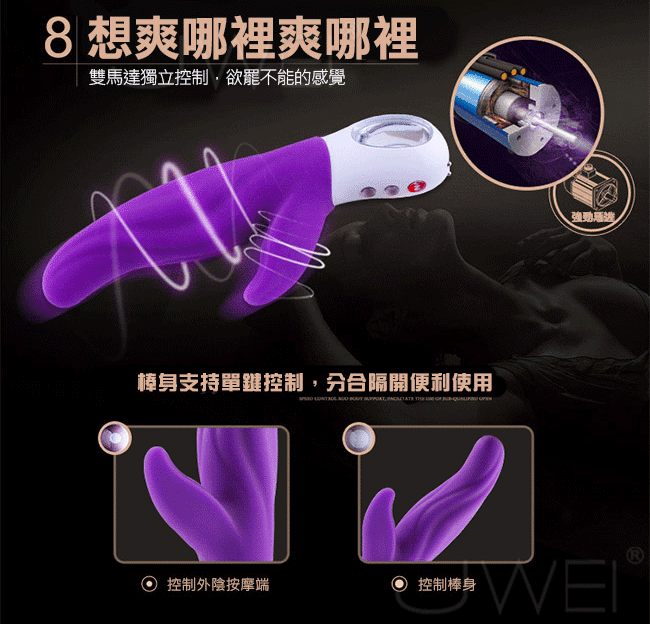 德國FUN FACTORY．Lady Bi 碧玉夫人-充電式雙重時尚奢華按摩棒(紫色)