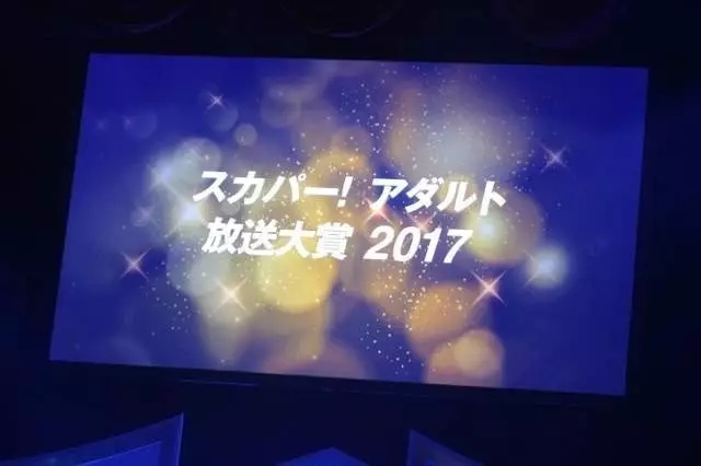 2017年日本“成人廣播獎”，獲獎女優盤點。