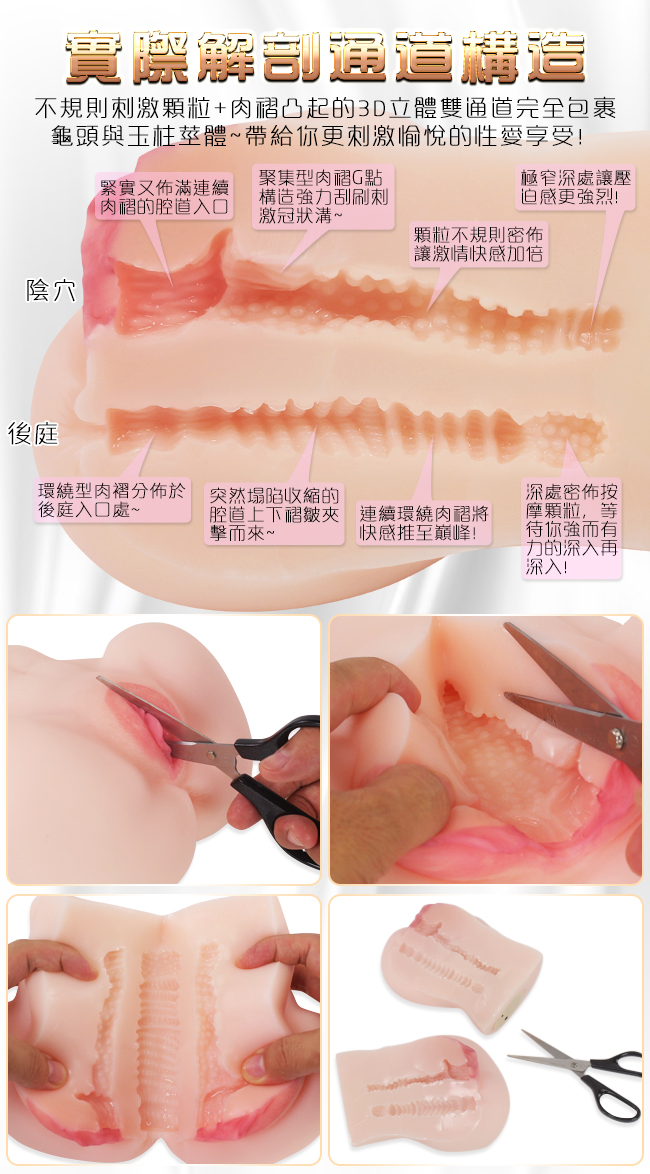 通道解剖圖-陰穴:緊實且連續肉褶入口,G點強力刮刷刺激冠狀結構,顆粒不規則分布,極窄深處強烈感受/後庭:環繞行肉褶入口,劇烈塌陷皺褶,最深處密布顆粒