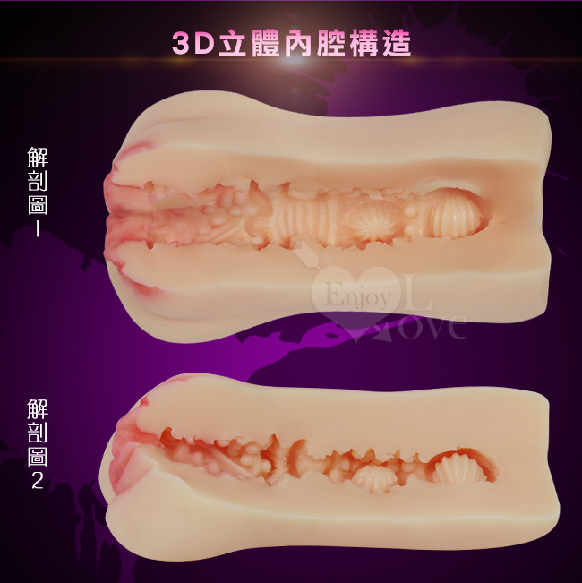 3D立體內腔構造,解剖圖,解剖圖2