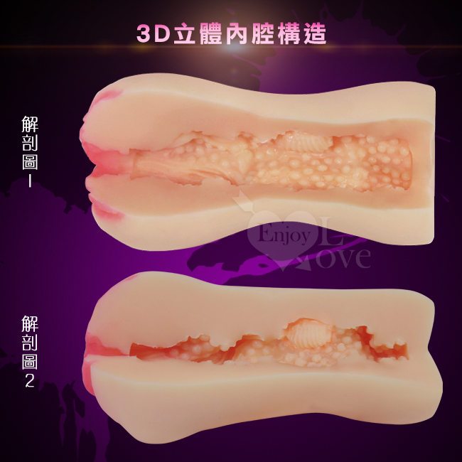 3D立體內腔構造,解剖圖1