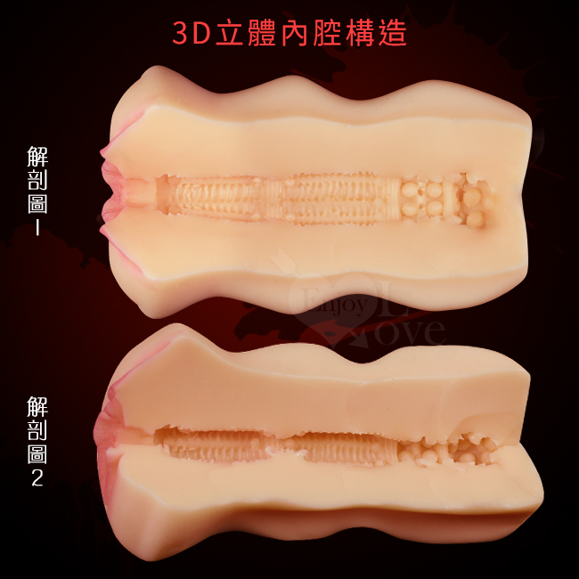 3D立體內腔構造,解剖圖