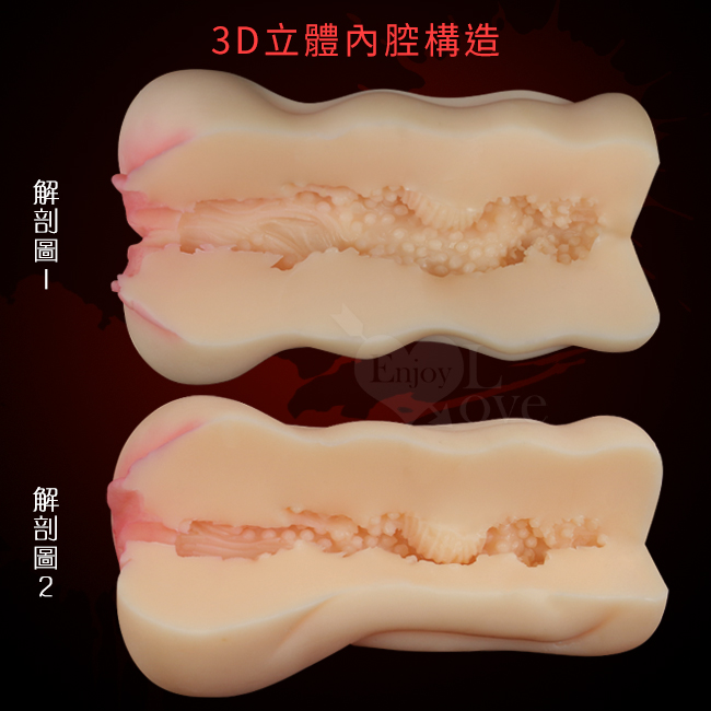 3D立體內腔構造,解剖圖