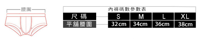 《 Enjoy Love 》低腰立體剪裁絢麗彩虹T字褲﹝S﹞