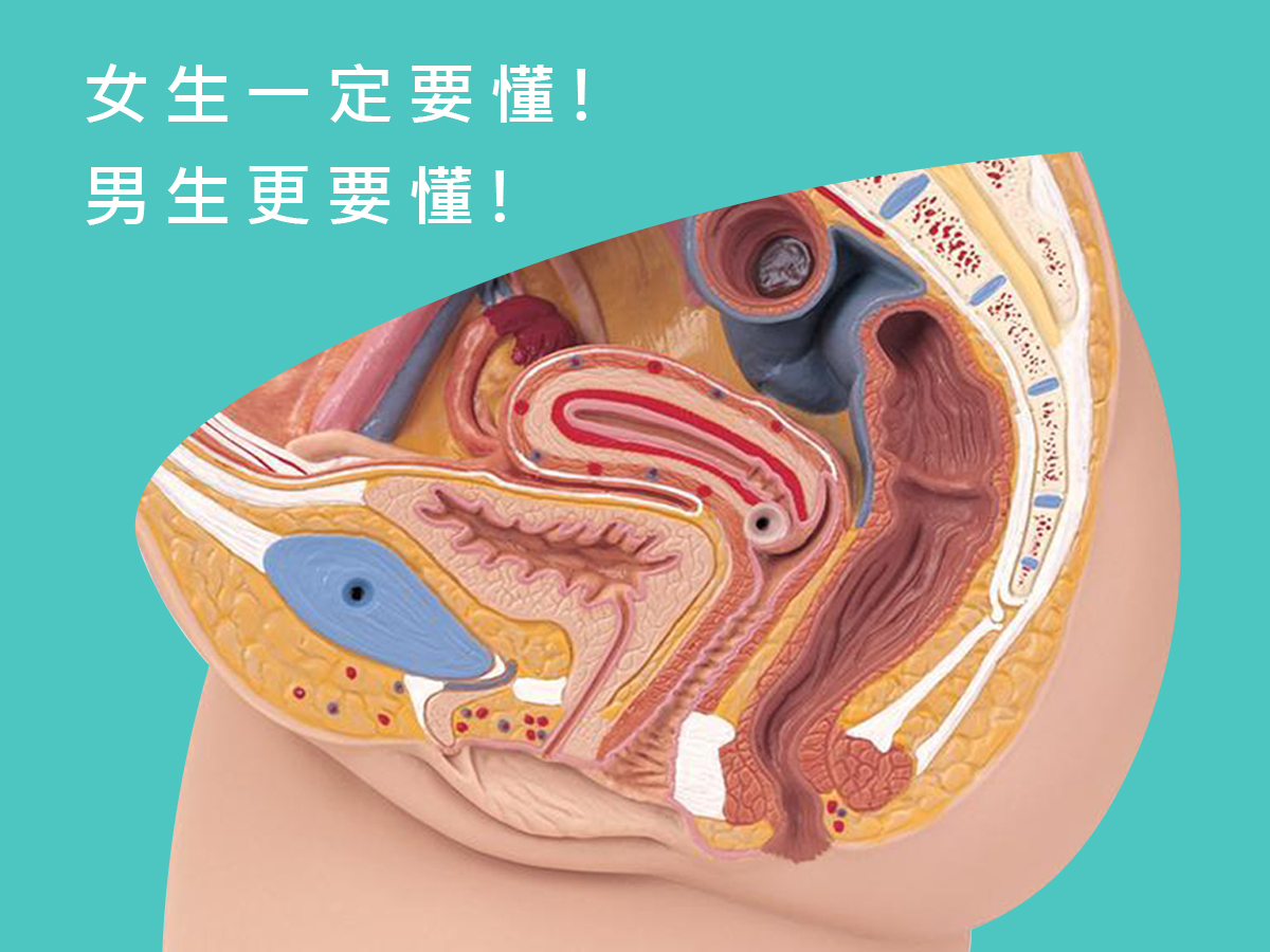 Ｇ點與其他的高潮點大公開！了解後你能更精確地提升性愛體驗！