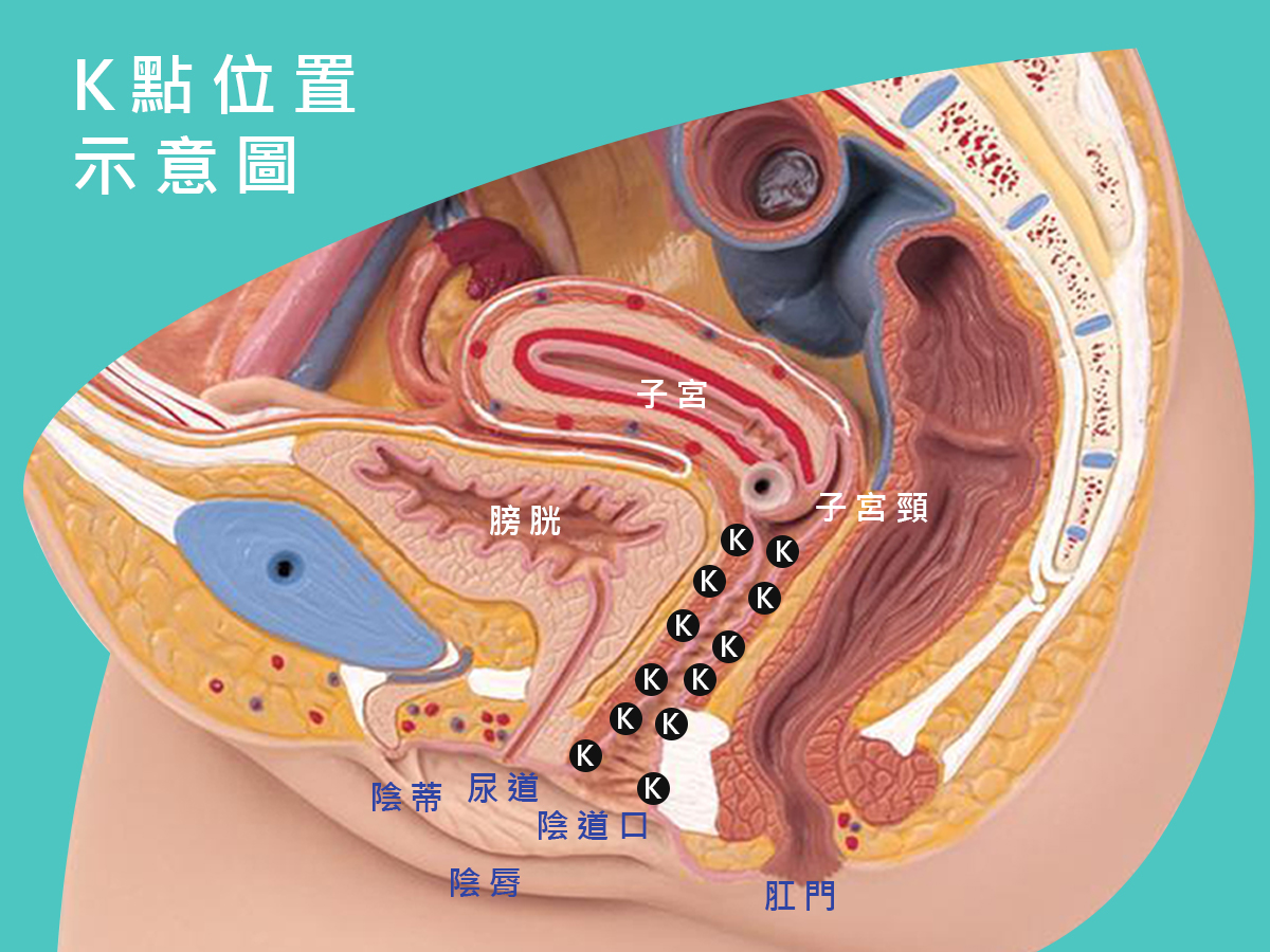 Ｇ點與其他的高潮點大公開！了解後你能更精確地提升性愛體驗！