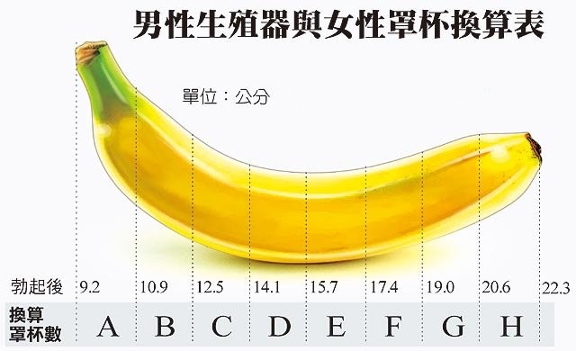 男性GG長度換算罩杯等級對照圖表