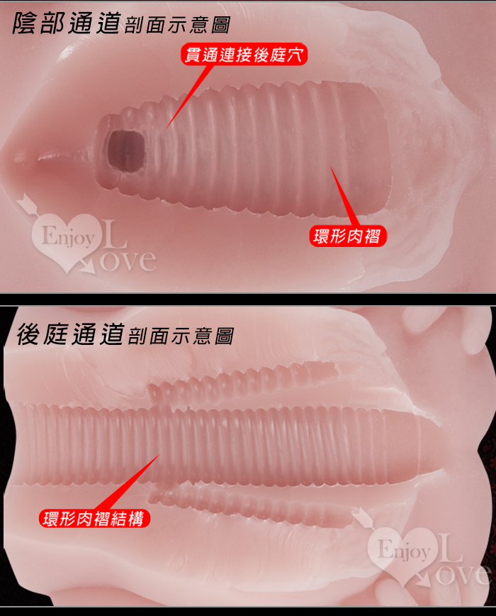 蜜汁美穴 ‧ 玉手掰鮑 陰肛同穴自慰器﹝附贈120ml潤滑液﹞淨重1200g